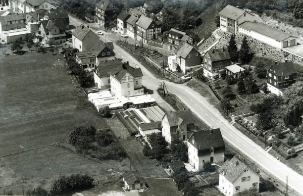 Gartencenter Kremer. Die Naturtalente | Wechselausstellung Gartenmuseum