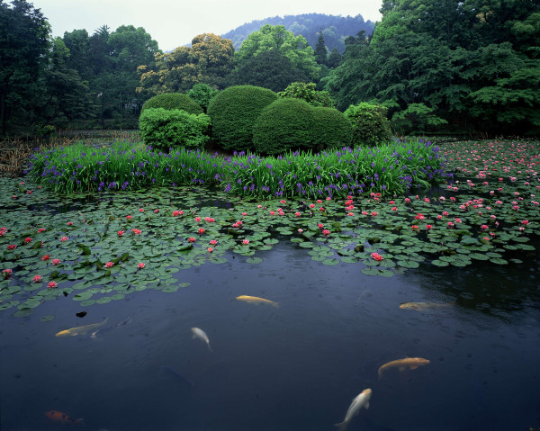 Gartencenter Kremer. Die Naturtalente | Wechselausstellung Gartenmuseum