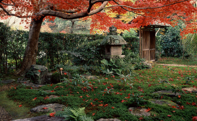 Gartencenter Kremer. Die Naturtalente | Schönheit der Natur: Japanische Gärten