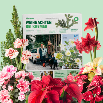 Gartencenter Kremer. Die Naturtalente | Die Naturtalente Zeitung August – Oktober
