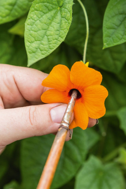 Gartencenter Kremer. Die Naturtalente