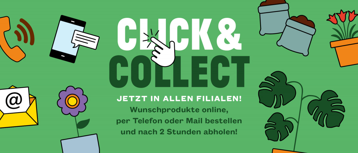 Click Collect Gartencenter Kremer Die Naturtalente