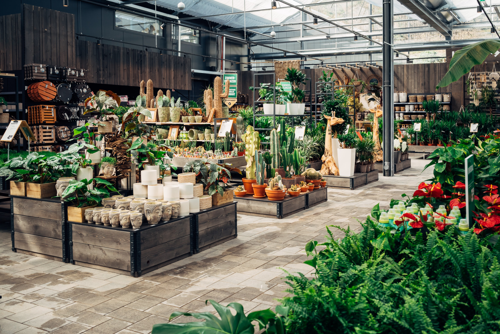 Lennestadt Gartencenter Kremer. Die Naturtalente