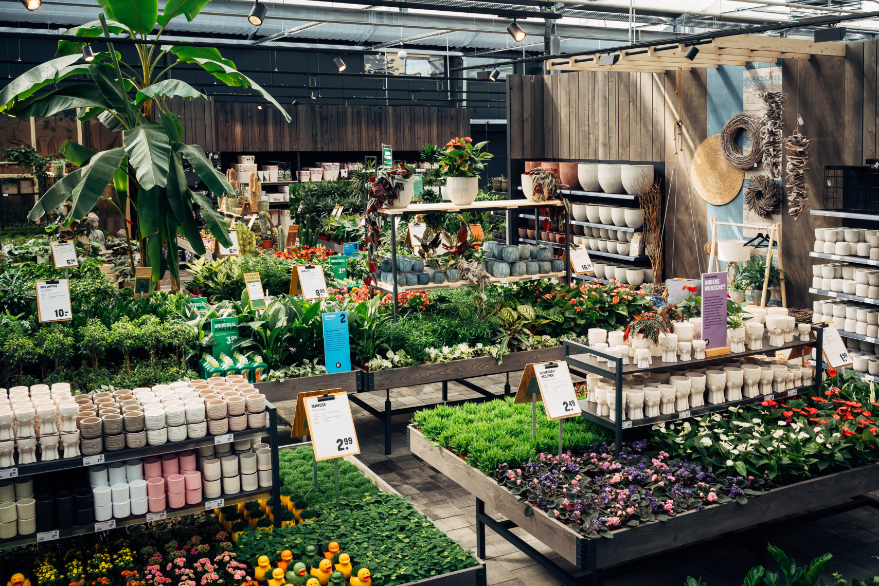 Lennestadt Gartencenter Kremer. Die Naturtalente