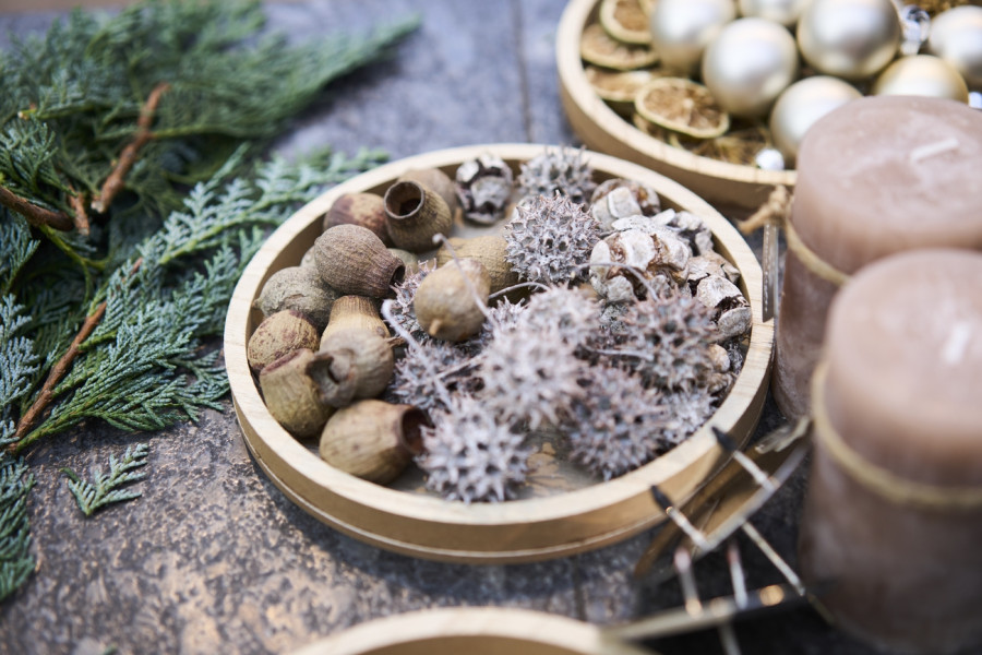 Gartencenter Kremer. Die Naturtalente