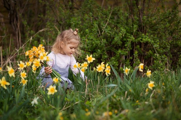 Gartencenter Kremer. Die Naturtalente | Narzissen – Zeichen des Neubeginns