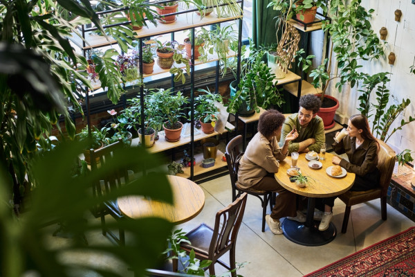 Gartencenter Kremer. Die Naturtalente | Das Leben der Zimmerpflanzen