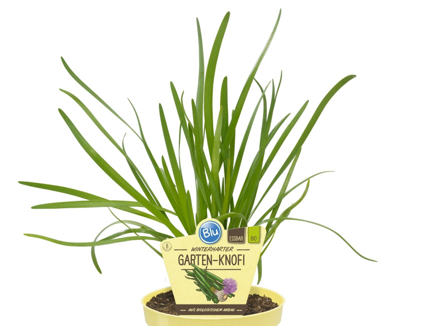 Gartencenter Kremer. Die Naturtalente | Bio Gartenknofi