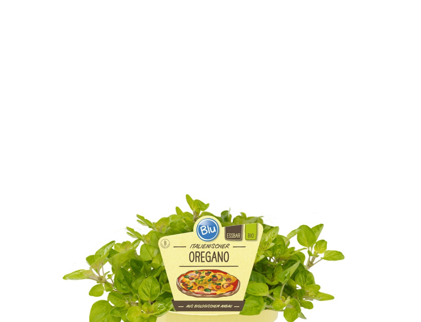 Gartencenter Kremer. Die Naturtalente | Bio Oregano