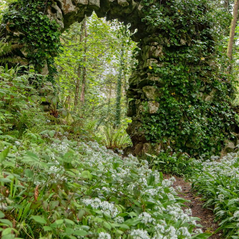 Gartencenter Kremer. Die Naturtalente | Wildkräuter - Bei uns gibt es keine Unkräuter!