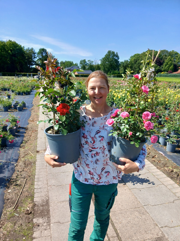 Gartencenter Kremer. Die Naturtalente | Unser Roseng&auml;rtner Beckermann