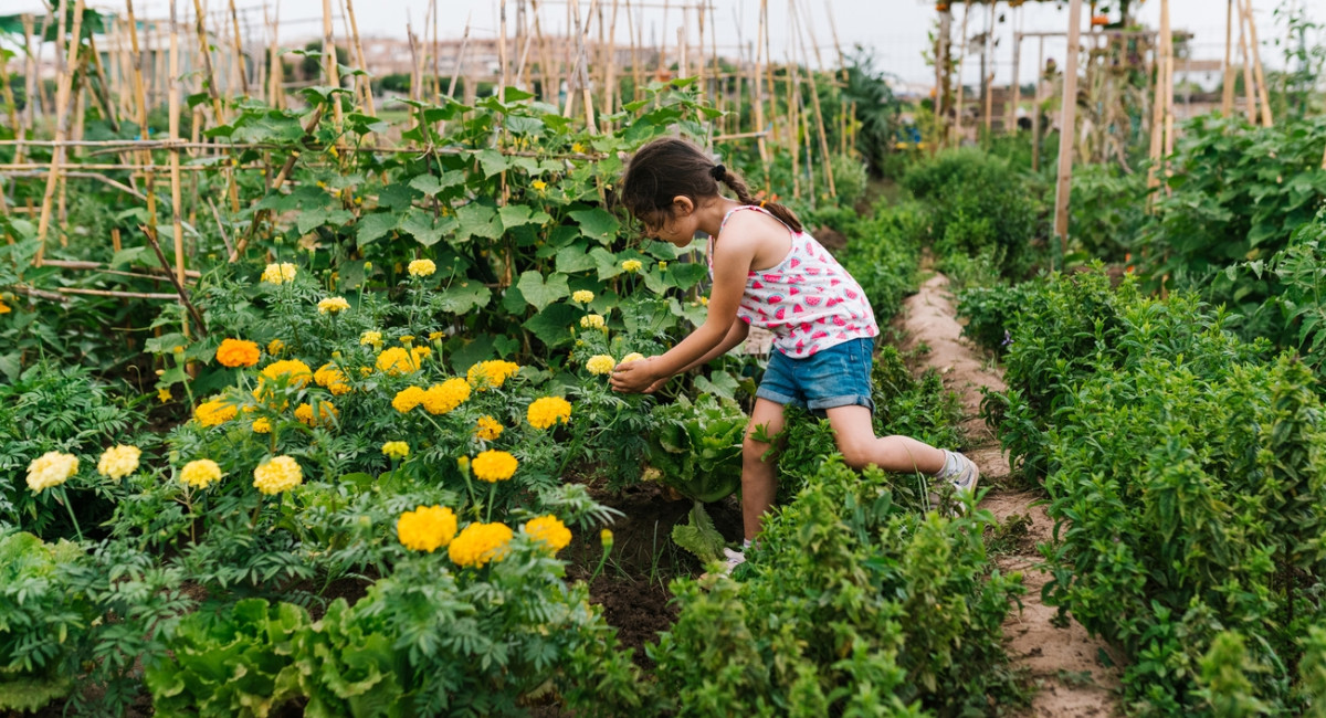Gartencenter Kremer. Die Naturtalente | Auf gute Nachbarschaft kommt es an