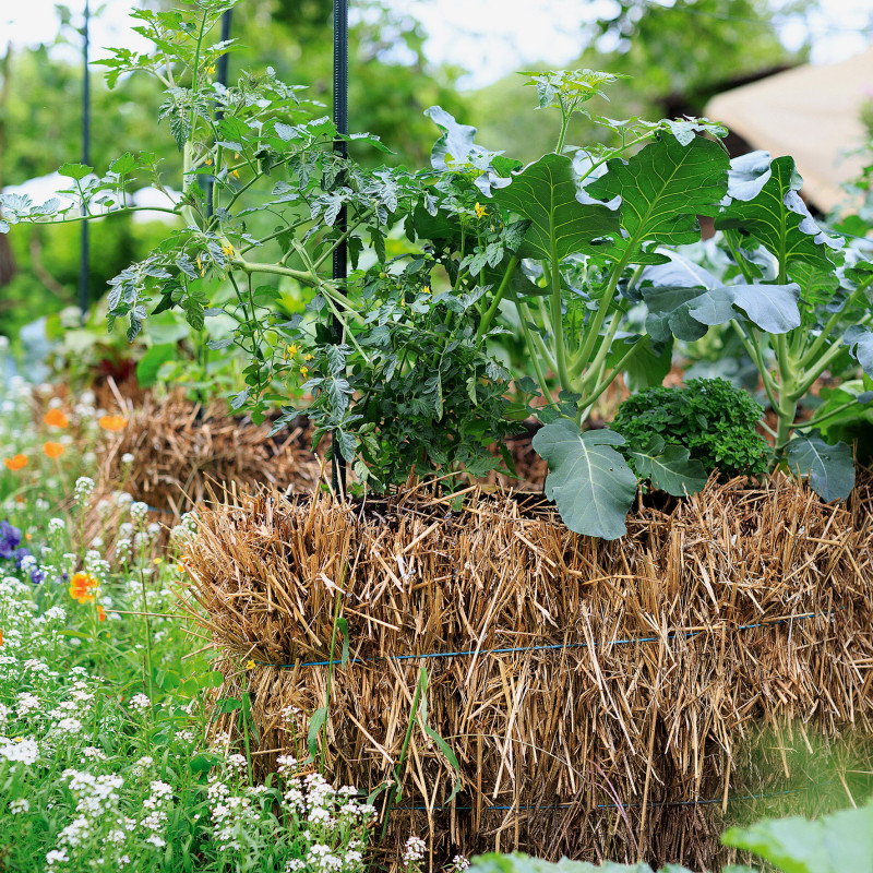 Hochbeete Gartencenter Kremer. Die Naturtalente