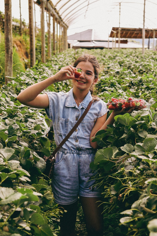 Gartencenter Kremer. Die Naturtalente | Erdbeeren: Gesunde Snacks zum Selberpflücken