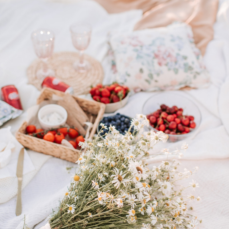 Gartencenter Kremer. Die Naturtalente | Erdbeeren: Gesunde Snacks zum Selberpflücken