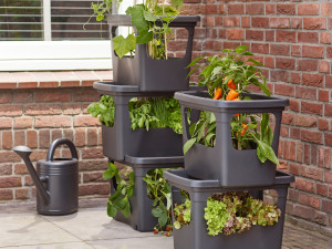 Gartencenter Kremer. Die Naturtalente | Green Basics Stack & Grow