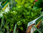 Gartencenter Kremer. Die Naturtalente | Leckermacher Salate