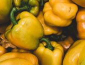 Gartencenter Kremer. Die Naturtalente | Paprika gelb