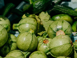 Gartencenter Kremer. Die Naturtalente | Zucchini rund