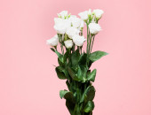 Gartencenter Kremer. Die Naturtalente | Lisianthus Bund