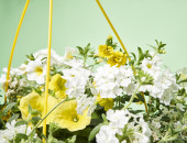 Gartencenter Kremer. Die Naturtalente | Mix-Ampel