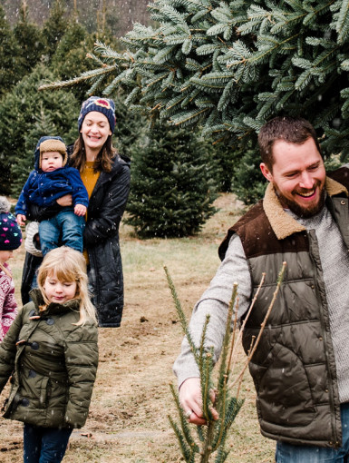 Gartencenter Kremer. Die Naturtalente | Weihnachtsbäume