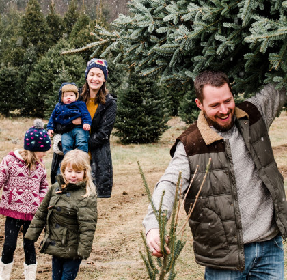 Gartencenter Kremer. Die Naturtalente | Weihnachtsbäume