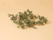 Gartencenter Kremer. Die Naturtalente | Zederngirlande