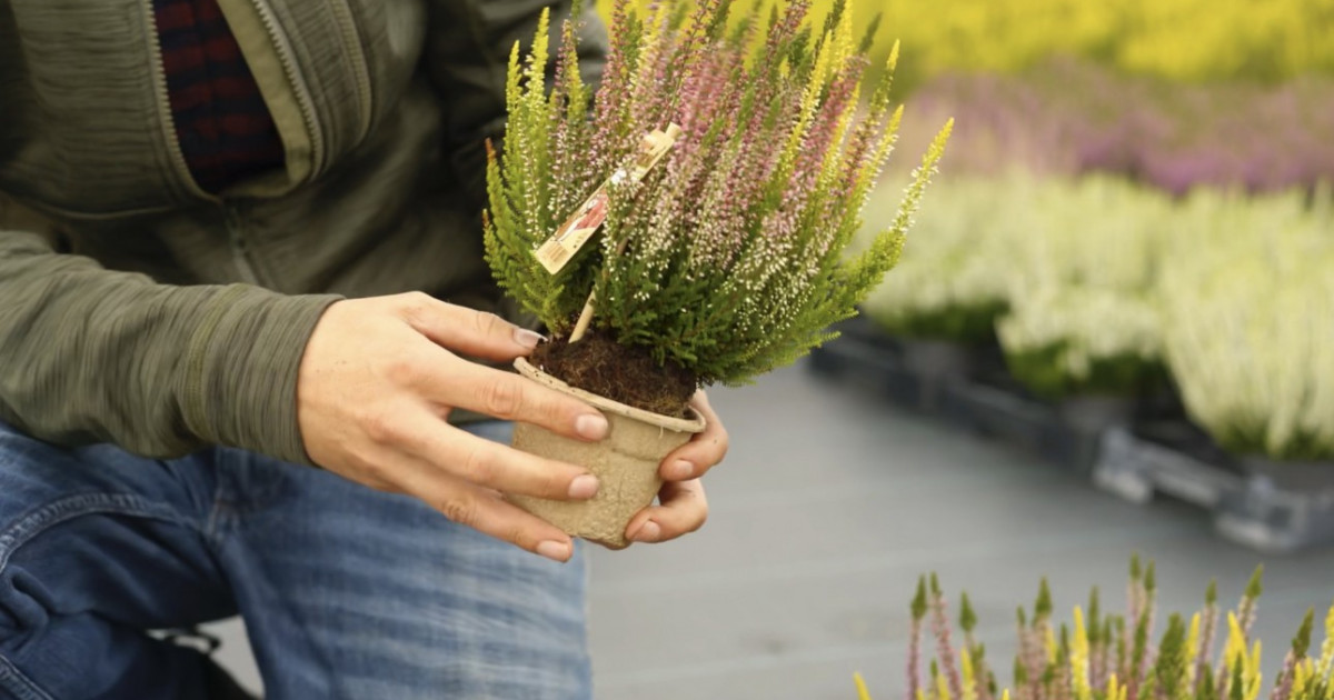 Gärtner, Produzenten & Partner Gartencenter Kremer. Die Naturtalente