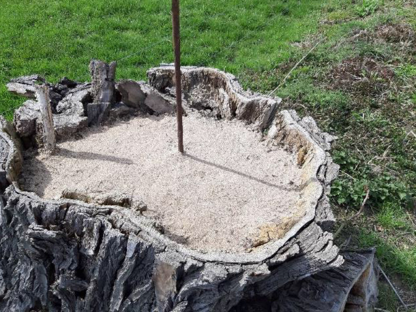 Gartencenter Kremer. Die Naturtalente