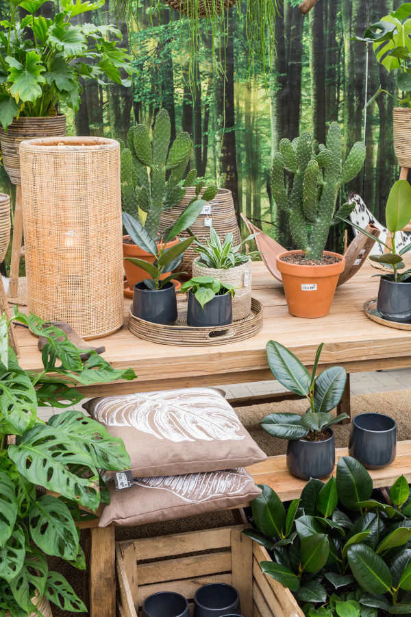Gartencenter Kremer. Die Naturtalente | Stella Aykan