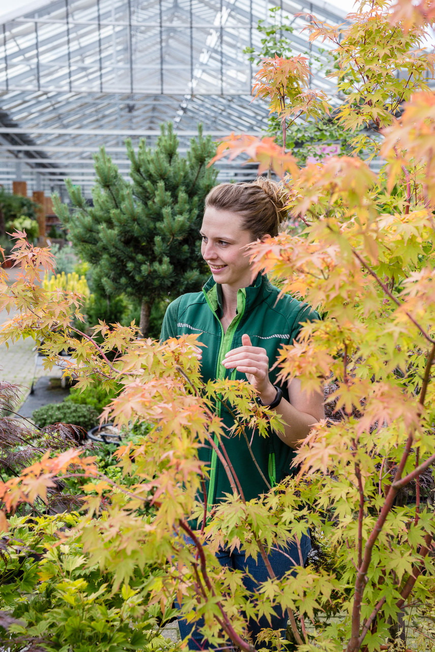 Gartencenter Kremer. Die Naturtalente